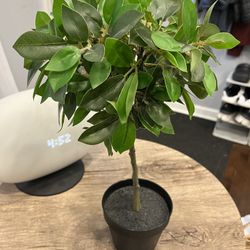 Fake Plant IKEA 