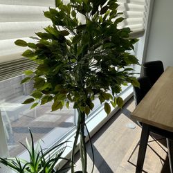Faux Ficus Tree, Indoor/Outdoor UV Protected
