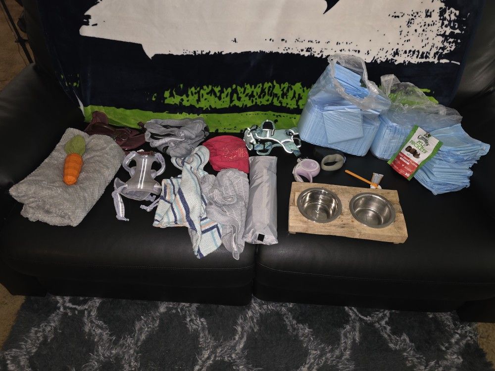 Small Dog Items - Bundle