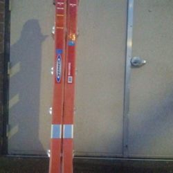 Warner 24'  Adjustable  Ladder 🪜
