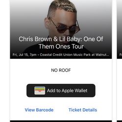 Chris Brown & Lil Baby Concert Tickets