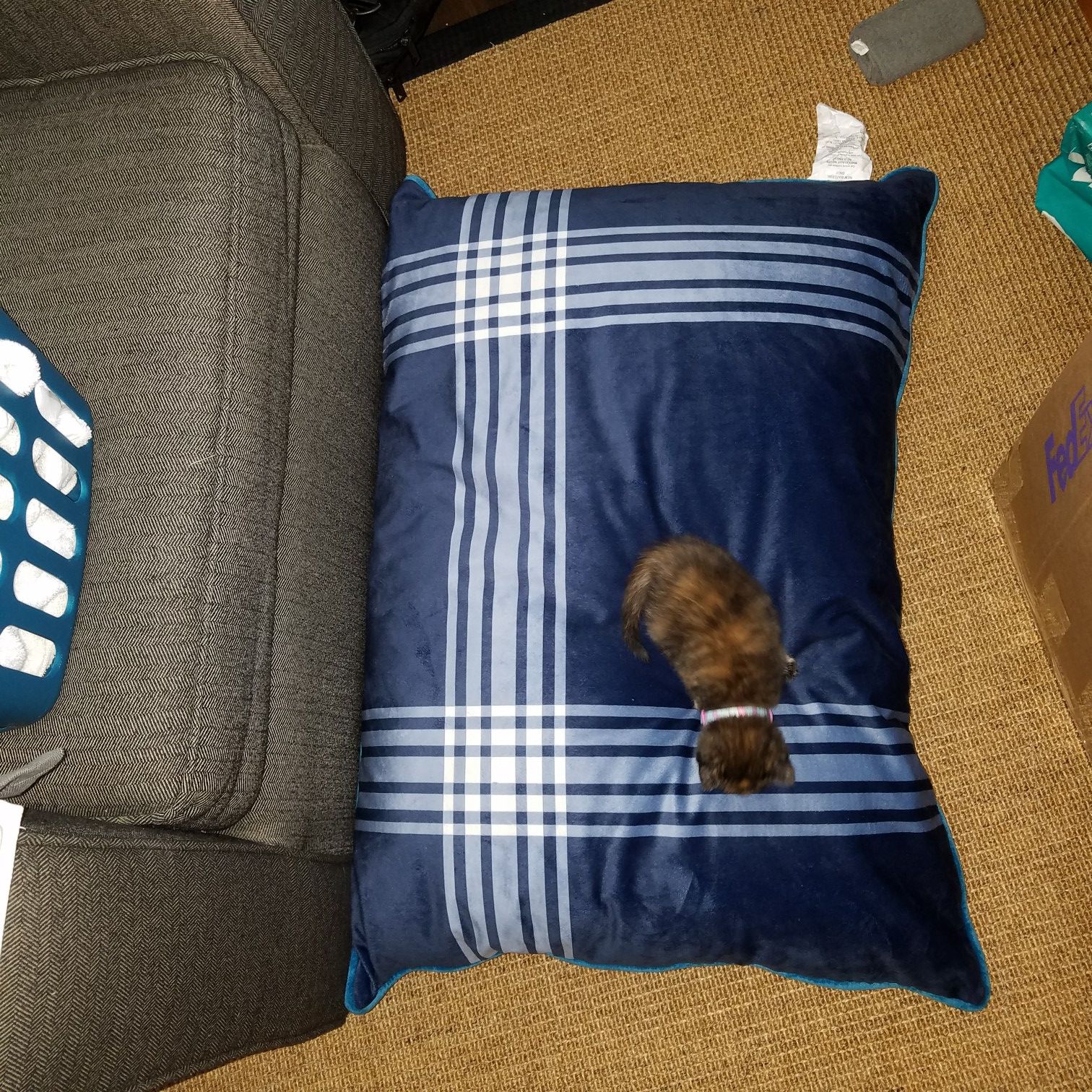 Heart to tail big bed for pets