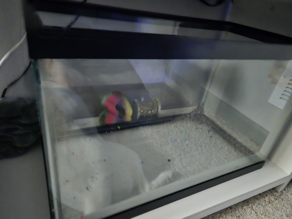 10 Gallon Aquarium Tank And Filter