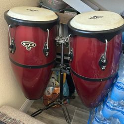 CP congos LP with stand 