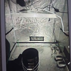 Grow Tent