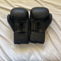 14 Oz Boxing Gloves