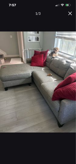 Couch for FREE