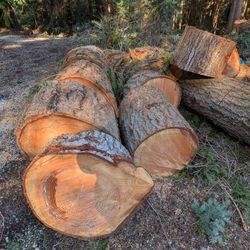 Premium Fir Firewood Rounds