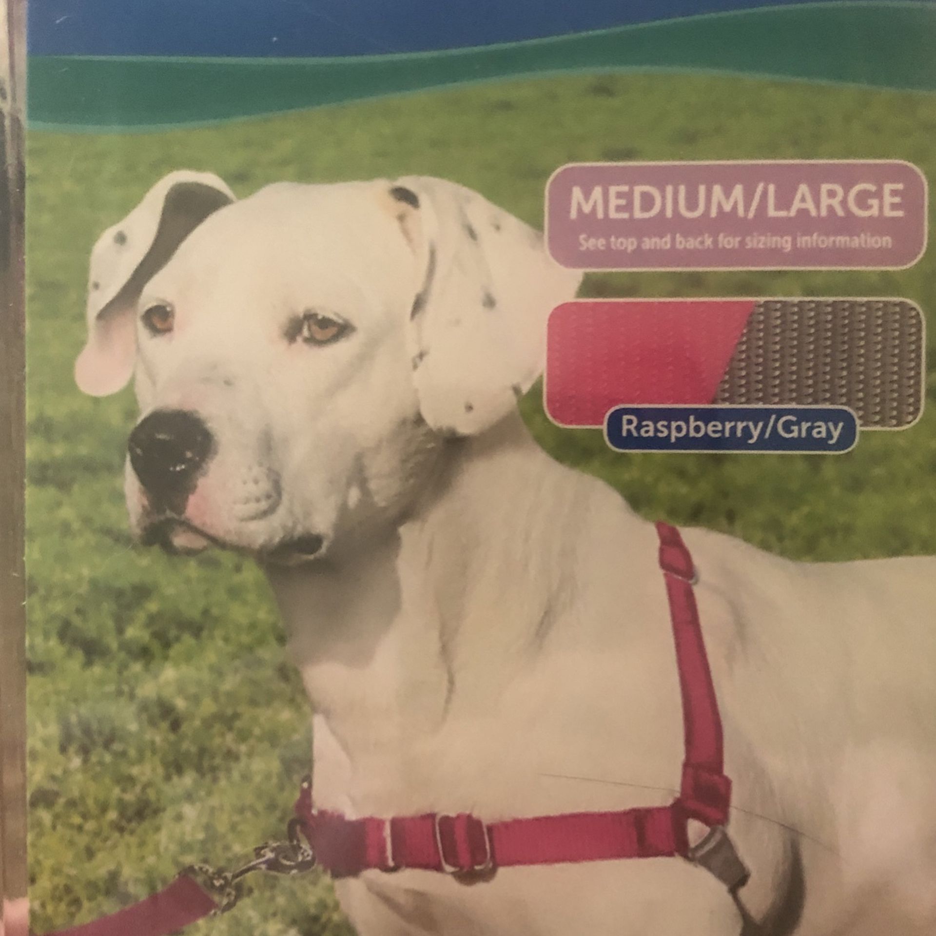 PetSafe Easy Walk Dog Harness- Medium