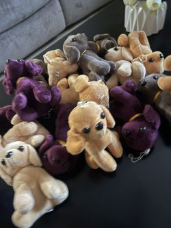 16 Puppy Plushies $2 each Or $25 For All 