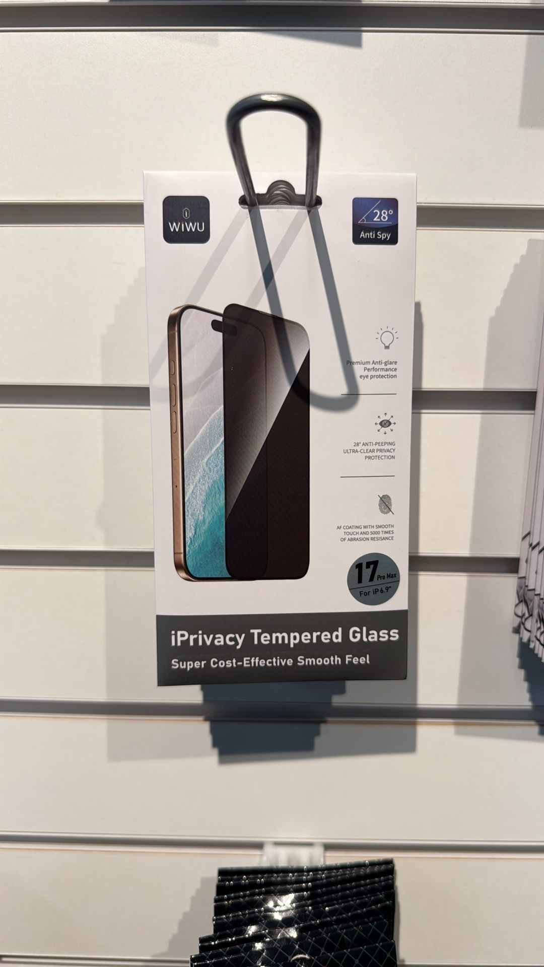 17 Pro Max Privacy Screen 