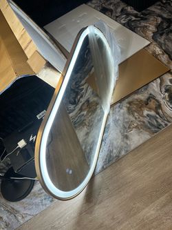 Niccy 48x24 Oval LED Mirror Gold Frame Anti-Fog