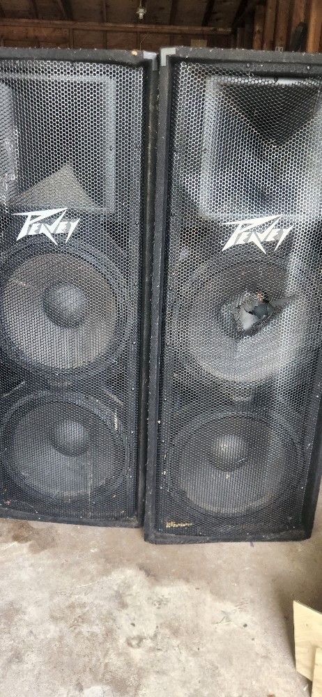 PEAVEY 215 SPEAKERS 