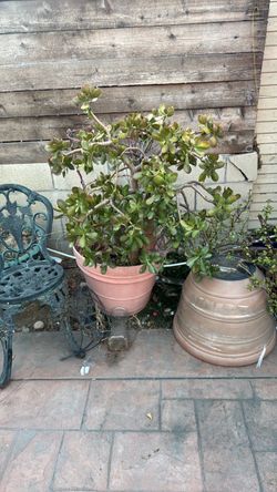 Free planter and pot