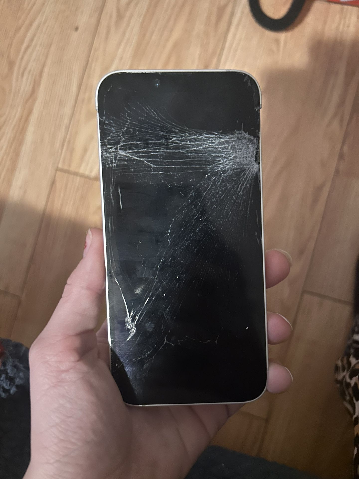 iPhone 16e