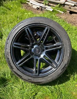 Niche Rims