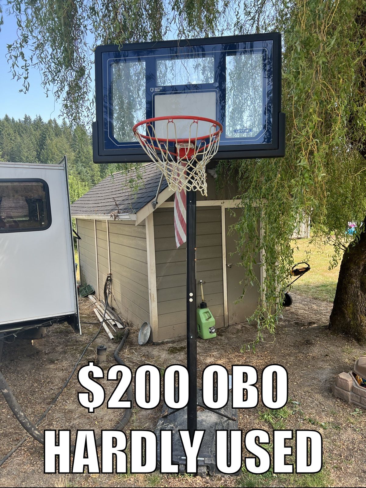 Lifetime Basketball Hoop