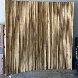 Bamboo fencing