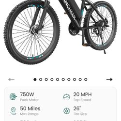 Electric Mountain Bike 