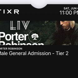 2 Tickets To Porter Robinson At Liv Tonight  100$