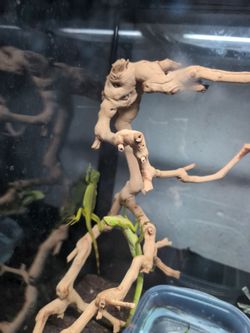 Terrarium
