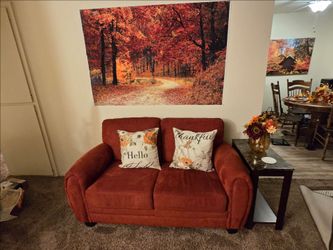 Set loveseat couch