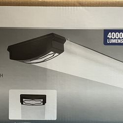 Commercial Electric Flush Mount Light