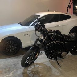 2019 Harley Iron 883 sportster 
