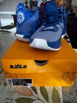LeBron basketball shoes