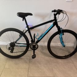 Nishiki Teenager Bike