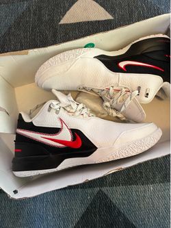 Brand New ZM LeBron NXXT