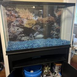 55 Galón Aquarium Tank 