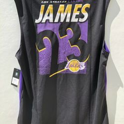 New Lakers James Jersey -