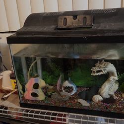 10 Gallon Fish Tank With Lid
