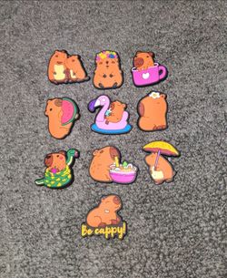 Capybara Croc Charms Each Picture $5
