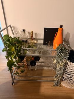 Silver Metal Bar Cart with Glass Shelves
