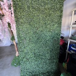 Backdrop For Parties