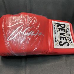 Boxing Legend Julio Cesar Chavez Autographed Boxing Glove Authenticated