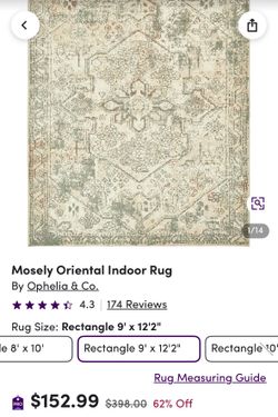 9 x 12 oriental Gray Rug
