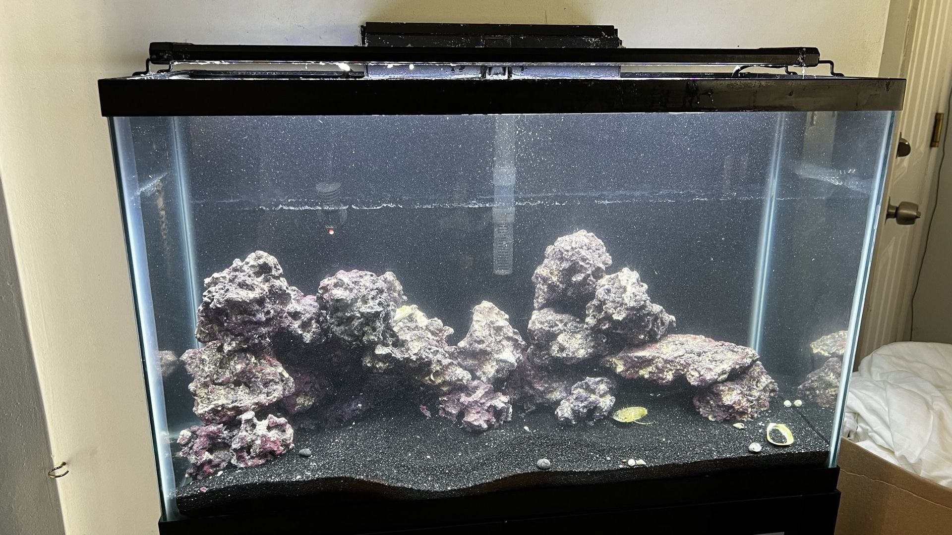 29 Gallon Saltwater Fish Tank