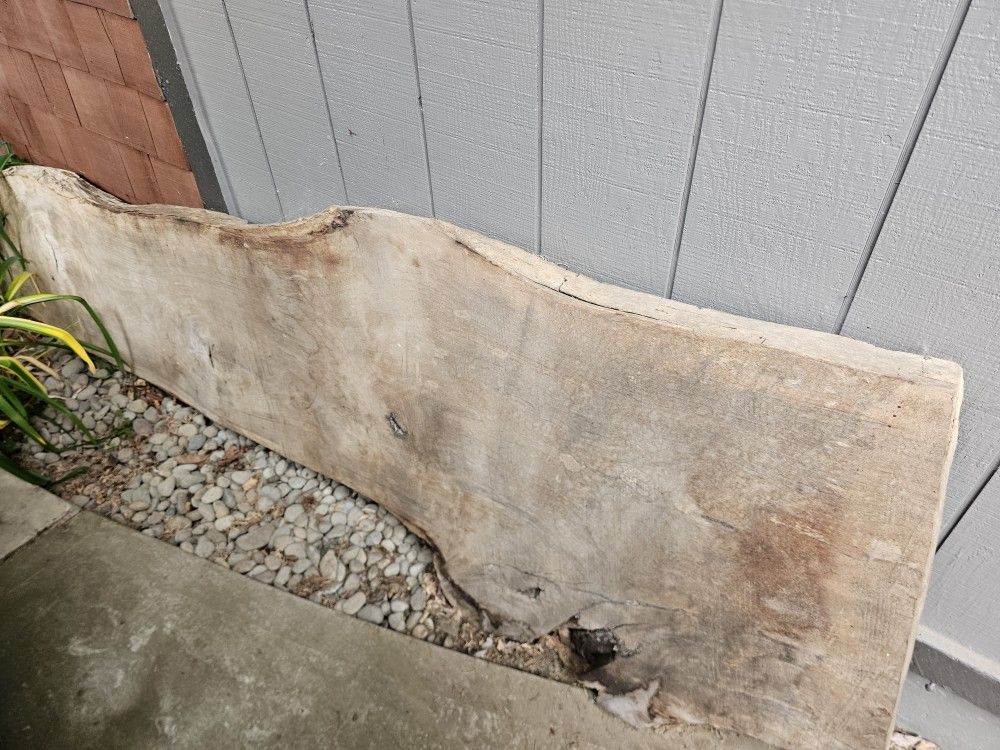 English Oak Slab 3in