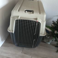 Dog Cage 