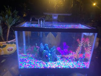 10 gallon aquarium, fish tank with filter and light as pictured with gravel