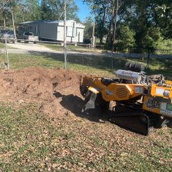 Stump Grinding 