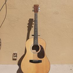 Eagle Acoustic Guitar
