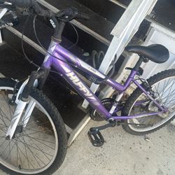 Purple Bike 
