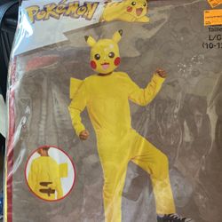 Pokémon costume