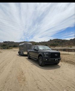 Livestock Hauling