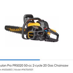 Poulan Pro PR5020 50-cc 2-cycle 20 Gas Chainsaw