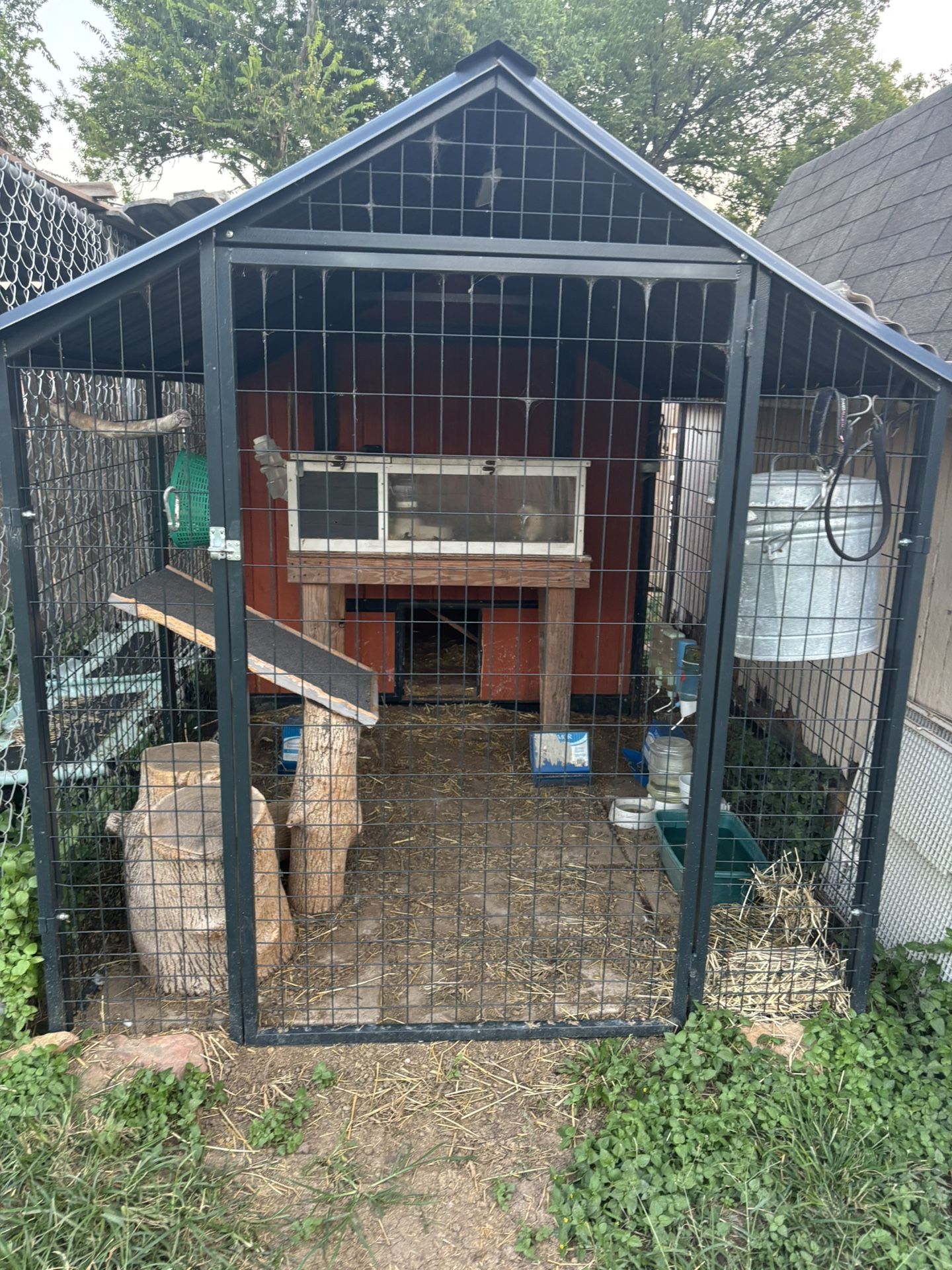 Chicken/rabbit Hutch